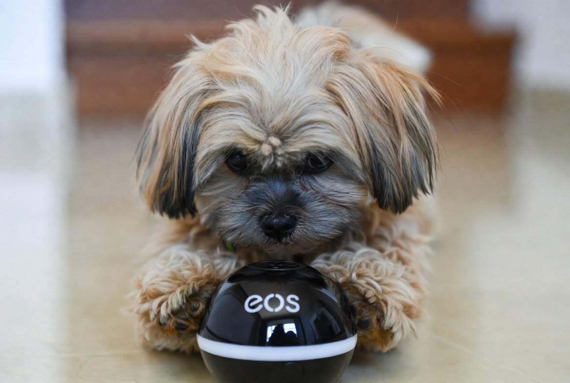 EOS파워볼 5분 흐름만 이해해도 가능한 EOS파워볼 게임과 EOS파워볼사이트추천 핵심 포인트